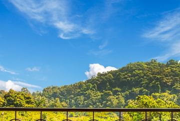 Dine with a view